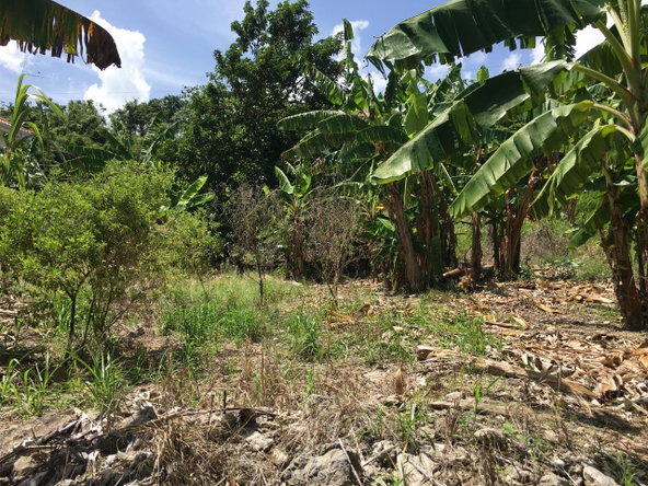 Eleventh image of 127 Columbus Crescent in St. Ann's Bay, St. Ann, Jamaica - property is For Sale