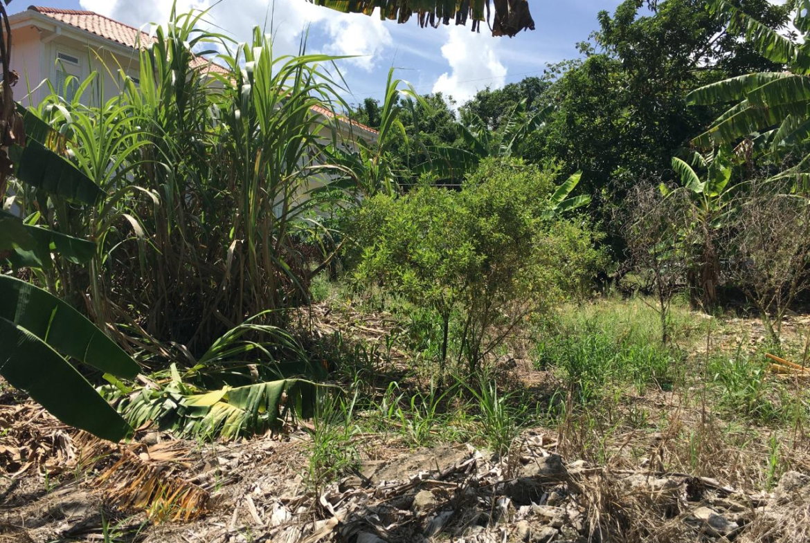 Twelfth image of 127 Columbus Crescent in St. Ann's Bay, St. Ann, Jamaica - property is For Sale