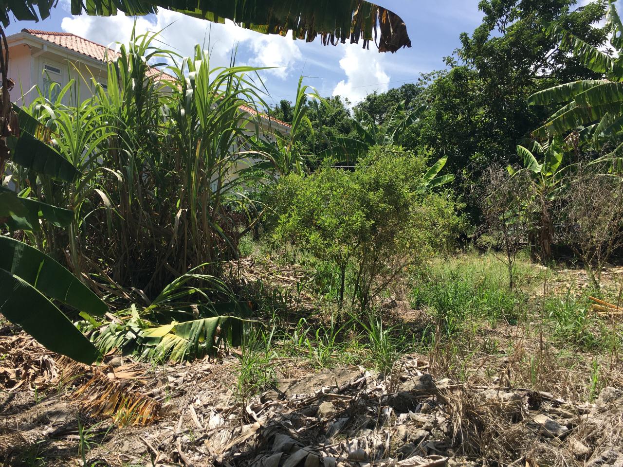 Twelfth image of 127 Columbus Crescent in St. Ann's Bay, St. Ann, Jamaica - property is For Sale