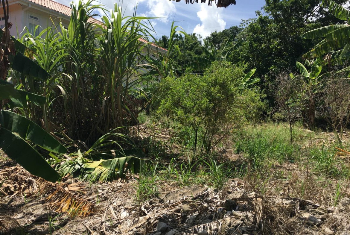 Thirteenth image of 127 Columbus Crescent in St. Ann's Bay, St. Ann, Jamaica - property is For Sale