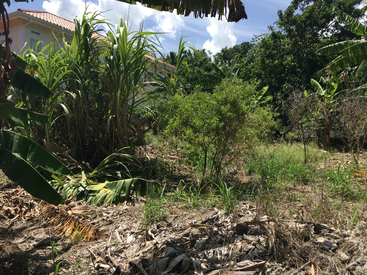 Thirteenth image of 127 Columbus Crescent in St. Ann's Bay, St. Ann, Jamaica - property is For Sale