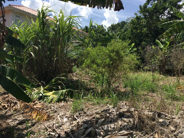Thirteenth image of 127 Columbus Crescent in St. Ann's Bay, St. Ann, Jamaica - property is For Sale