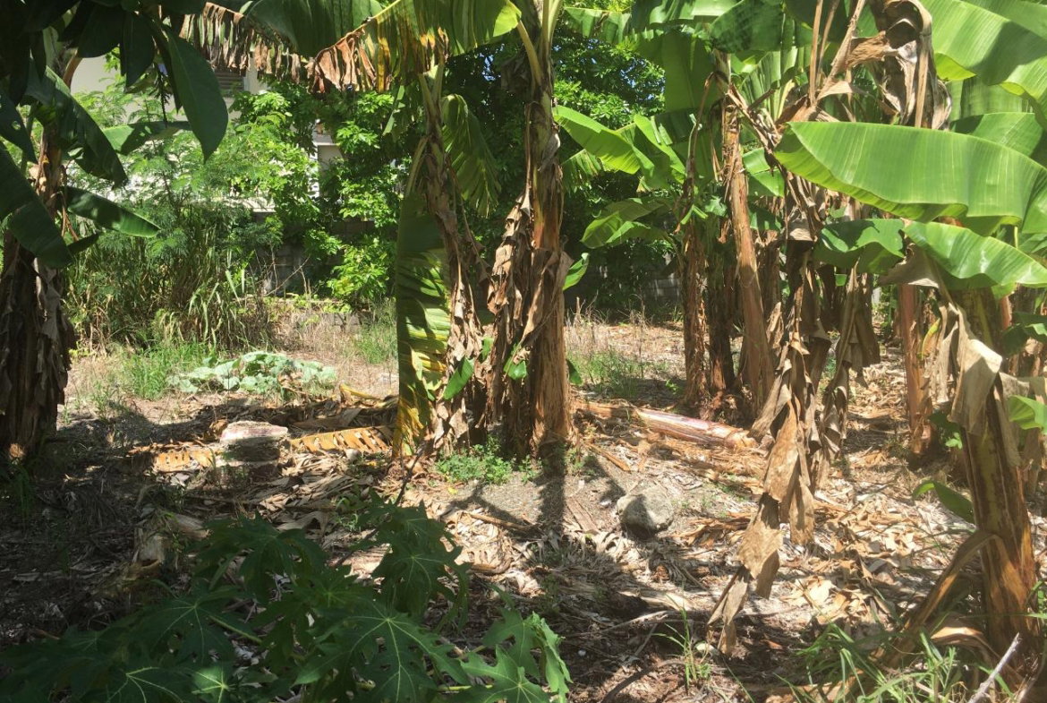 Fourteenth image of 127 Columbus Crescent in St. Ann's Bay, St. Ann, Jamaica - property is For Sale