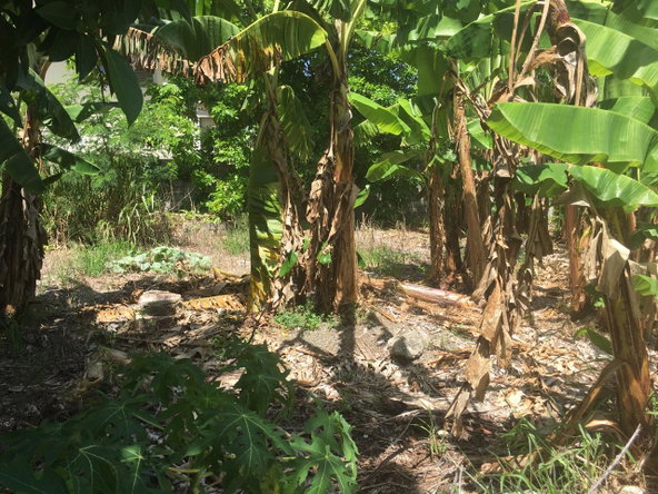 Fourteenth image of 127 Columbus Crescent in St. Ann's Bay, St. Ann, Jamaica - property is For Sale