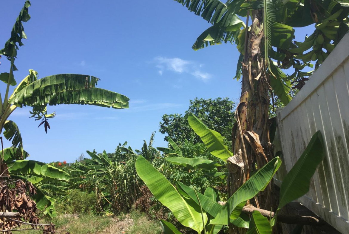 Fifteenth image of 127 Columbus Crescent in St. Ann's Bay, St. Ann, Jamaica - property is For Sale