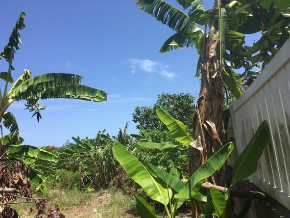 Fifteenth image of 127 Columbus Crescent in St. Ann's Bay, St. Ann, Jamaica - property is For Sale