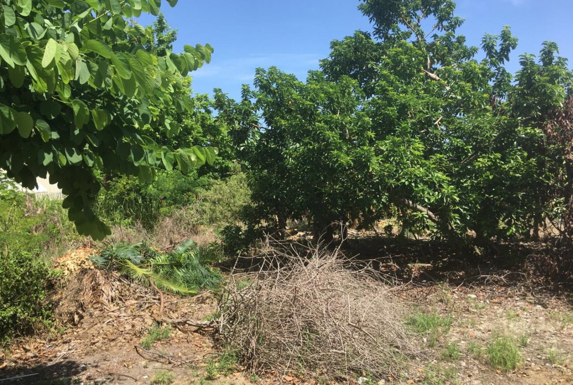 Sixteenth image of 127 Columbus Crescent in St. Ann's Bay, St. Ann, Jamaica - property is For Sale