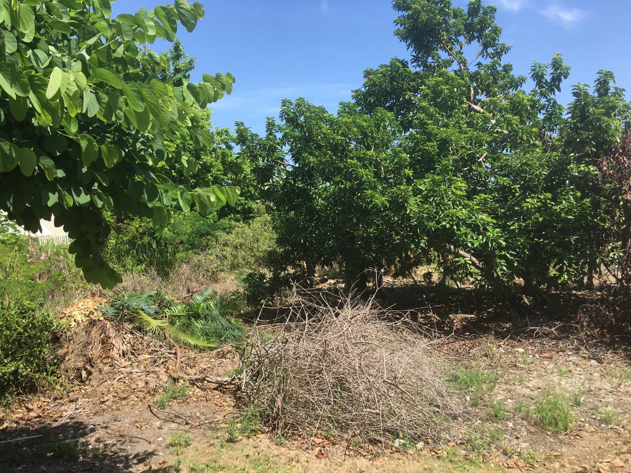 Sixteenth image of 127 Columbus Crescent in St. Ann's Bay, St. Ann, Jamaica - property is For Sale