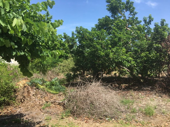 Sixteenth image of 127 Columbus Crescent in St. Ann's Bay, St. Ann, Jamaica - property is For Sale