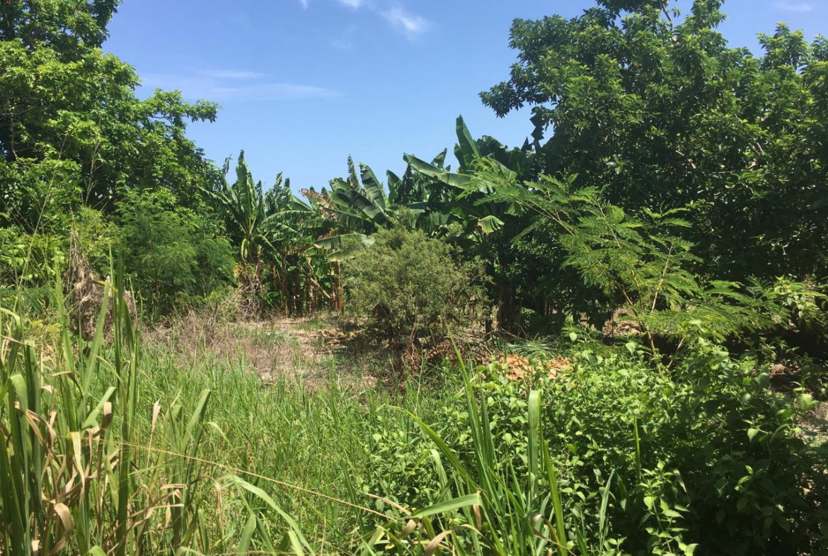 Seventeenth image of 127 Columbus Crescent in St. Ann's Bay, St. Ann, Jamaica - property is For Sale