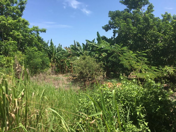 Seventeenth image of 127 Columbus Crescent in St. Ann's Bay, St. Ann, Jamaica - property is For Sale