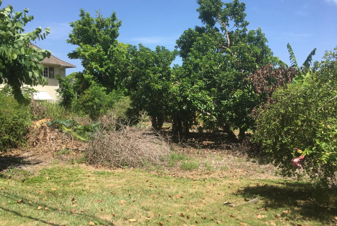 Fourth image of 127 Columbus Crescent in St. Ann's Bay, St. Ann, Jamaica - property is For Sale