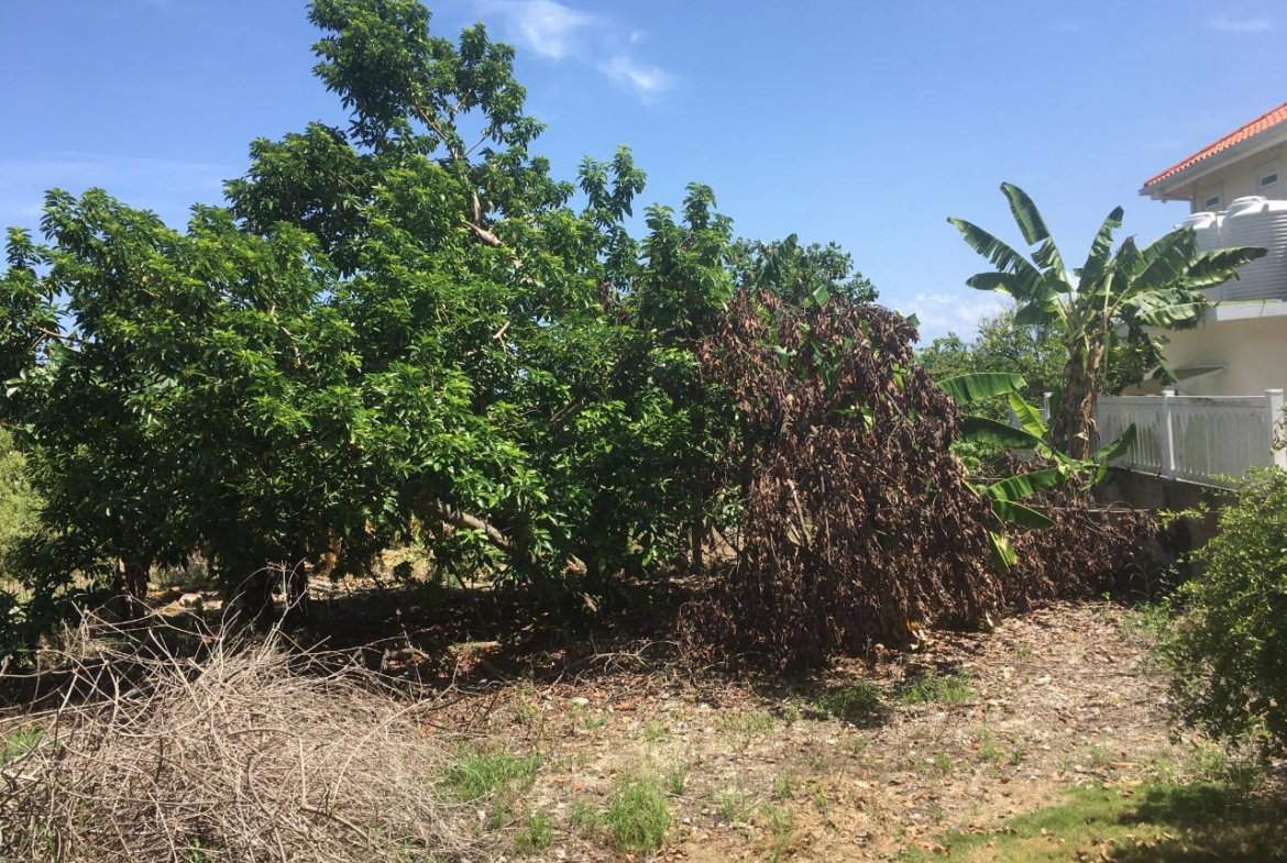 Seventh image of 127 Columbus Crescent in St. Ann's Bay, St. Ann, Jamaica - property is For Sale