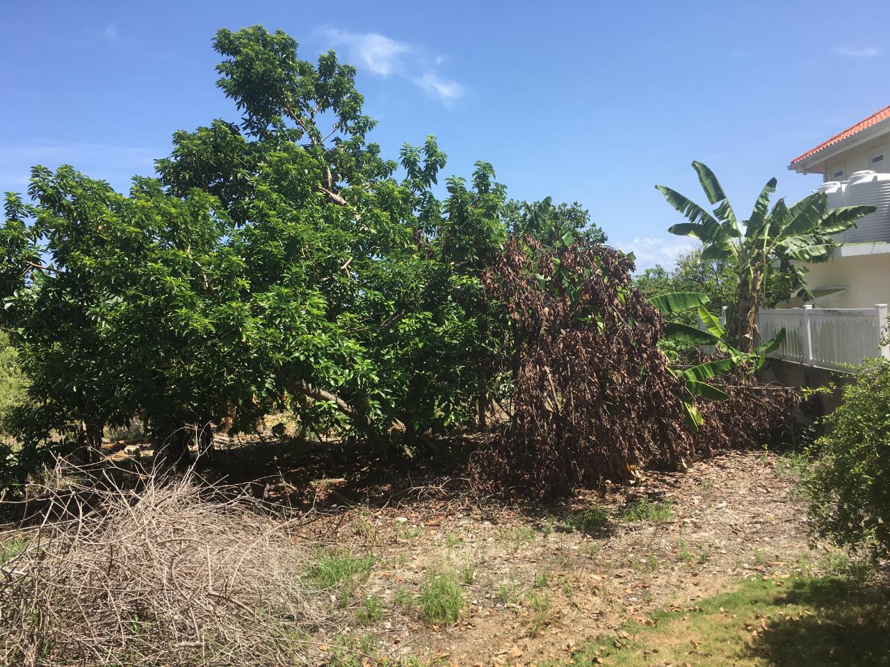 Seventh image of 127 Columbus Crescent in St. Ann's Bay, St. Ann, Jamaica - property is For Sale