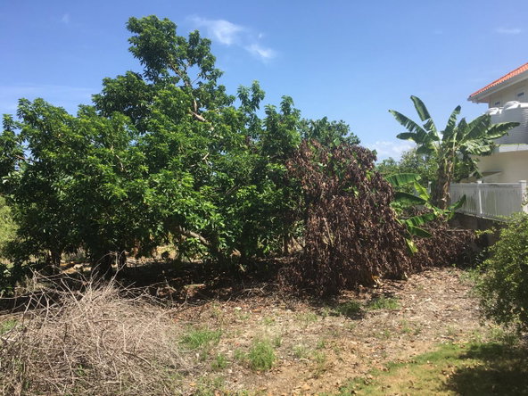 Seventh image of 127 Columbus Crescent in St. Ann's Bay, St. Ann, Jamaica - property is For Sale