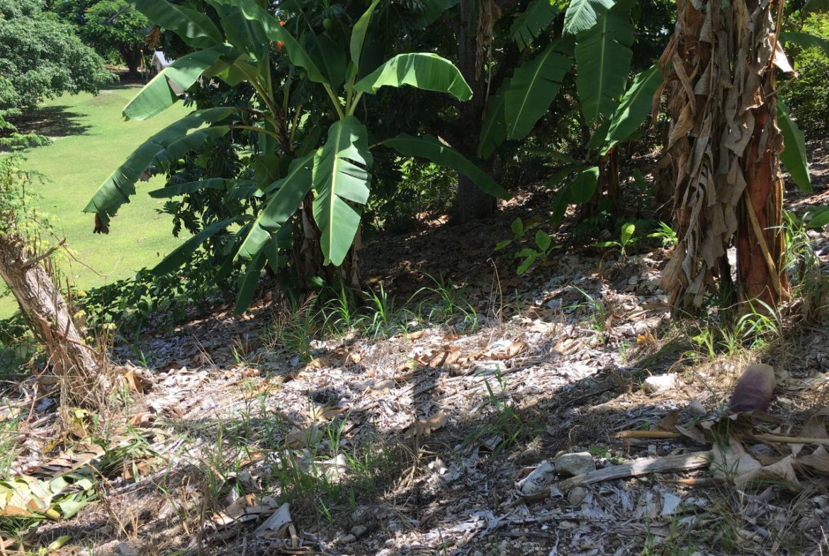 Eighth image of 127 Columbus Crescent in St. Ann's Bay, St. Ann, Jamaica - property is For Sale