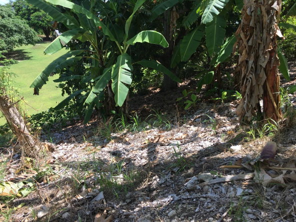 Eighth image of 127 Columbus Crescent in St. Ann's Bay, St. Ann, Jamaica - property is For Sale