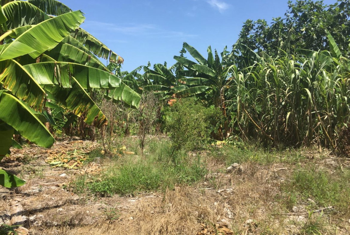 Ninth image of 127 Columbus Crescent in St. Ann's Bay, St. Ann, Jamaica - property is For Sale