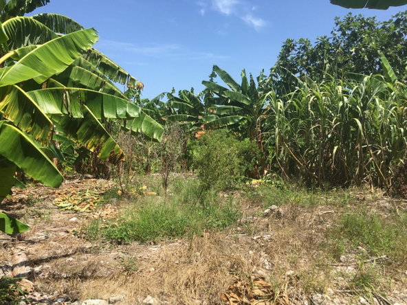Ninth image of 127 Columbus Crescent in St. Ann's Bay, St. Ann, Jamaica - property is For Sale