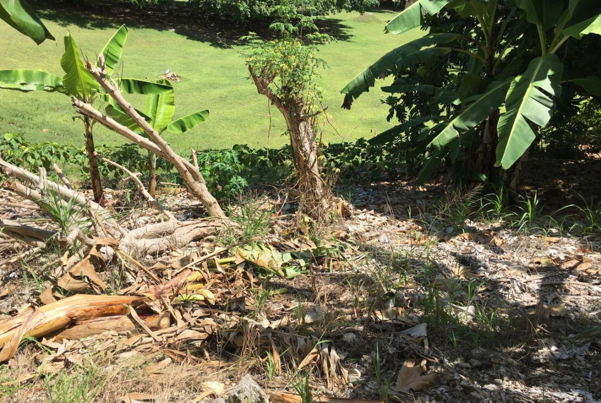 Tenth image of 127 Columbus Crescent in St. Ann's Bay, St. Ann, Jamaica - property is For Sale