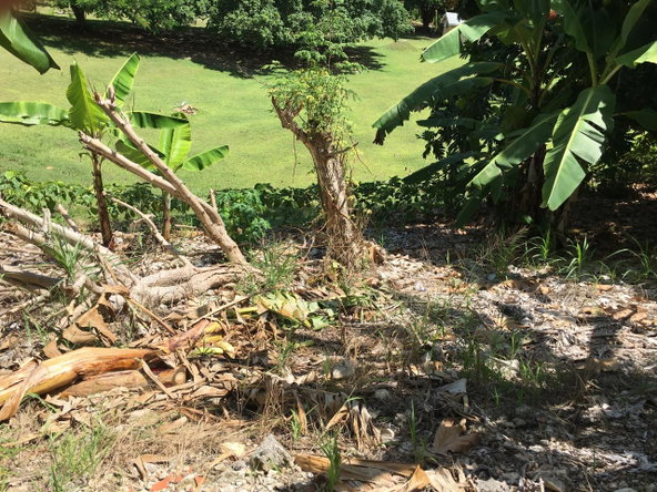 Tenth image of 127 Columbus Crescent in St. Ann's Bay, St. Ann, Jamaica - property is For Sale
