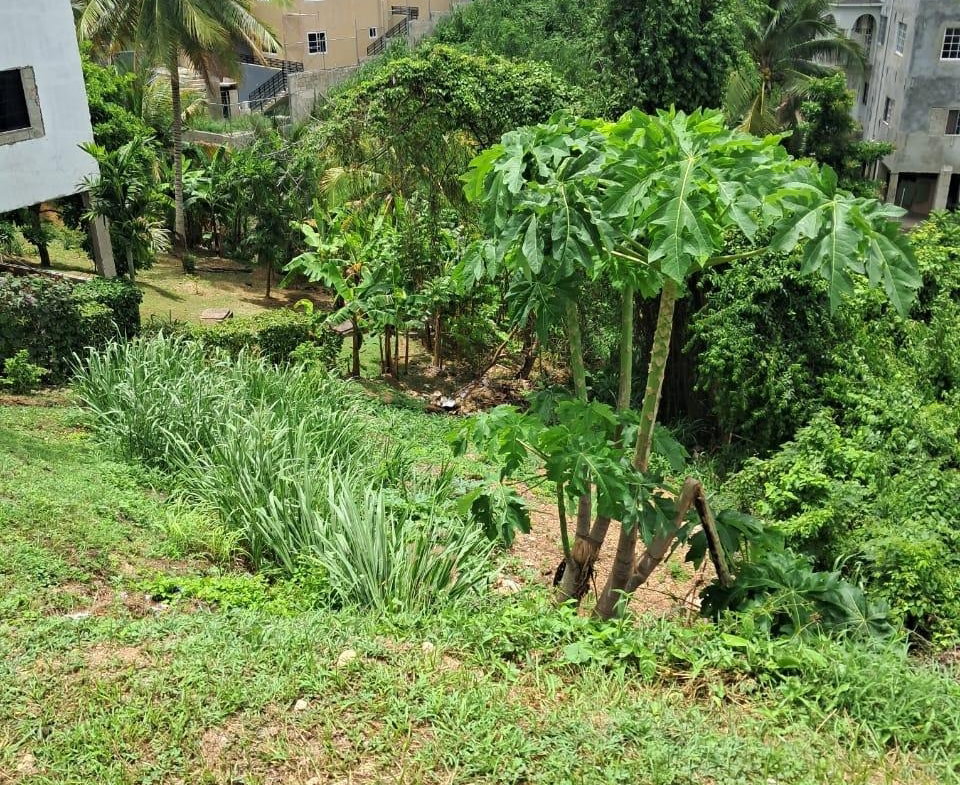 Fifth image of 198 Westgate Hills, St. James in Westgate Hills, St. James, Jamaica - property is For Sale