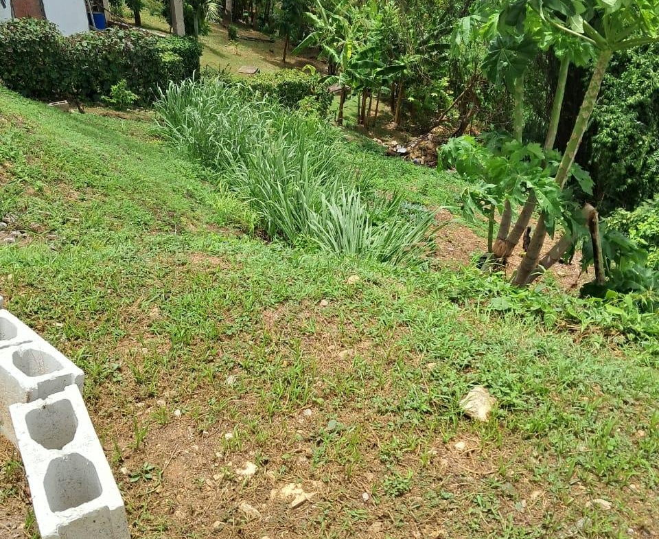 Sixth image of 198 Westgate Hills, St. James in Westgate Hills, St. James, Jamaica - property is For Sale