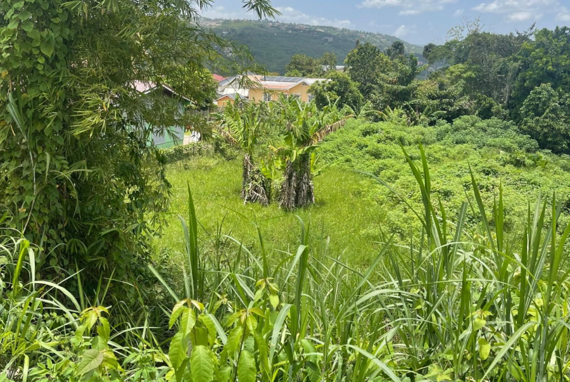 Third image of Lot No. 74- Williamsfield Gardens in Williamsfield, Manchester, Jamaica - property is For Sale