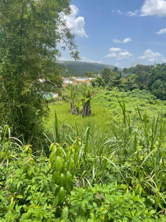 Third image of Lot No. 74- Williamsfield Gardens in Williamsfield, Manchester, Jamaica - property is For Sale