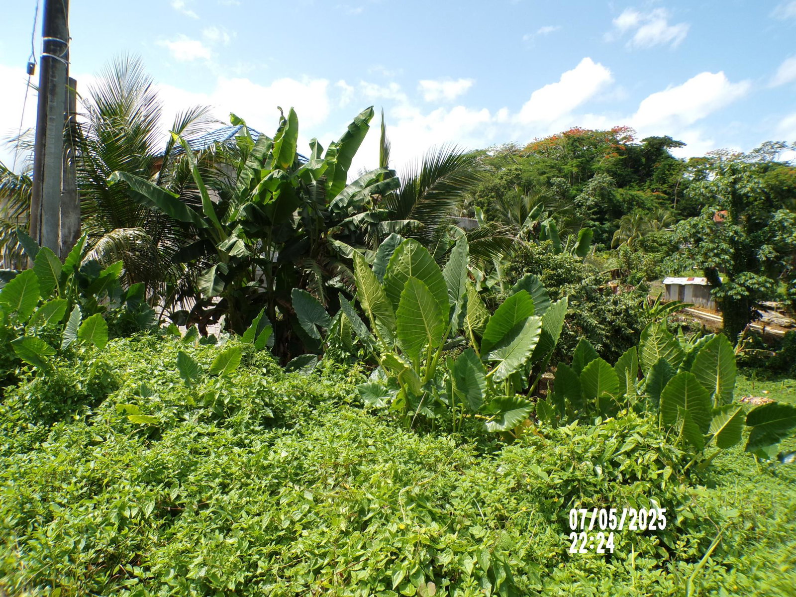 Second image of Lot-82 Zoysia Drive in Green Island, Hanover, Jamaica - property is For Sale