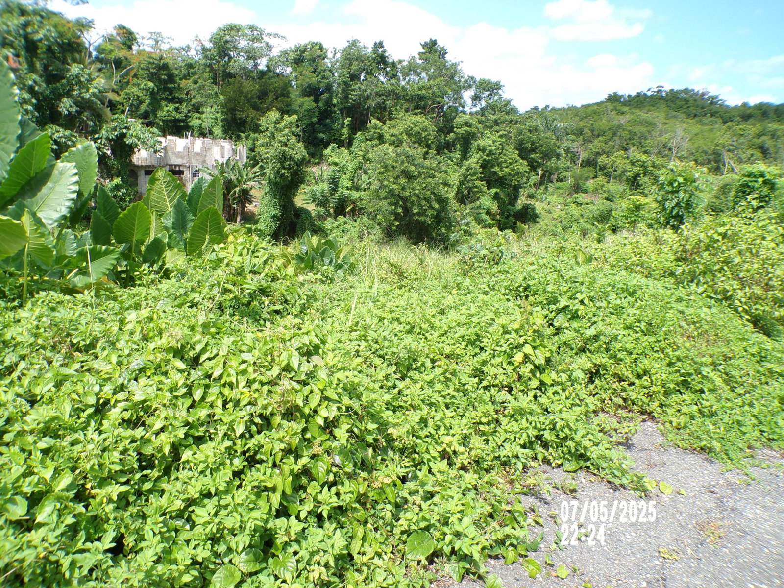 Third image of Lot-82 Zoysia Drive in Green Island, Hanover, Jamaica - property is For Sale