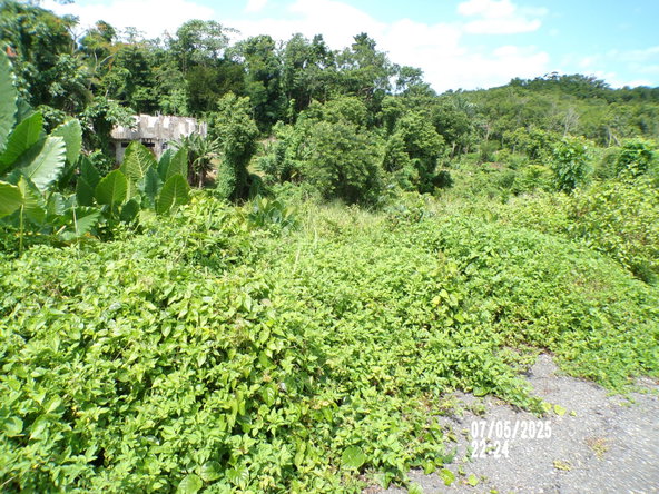 Third image of Lot-82 Zoysia Drive in Green Island, Hanover, Jamaica - property is For Sale