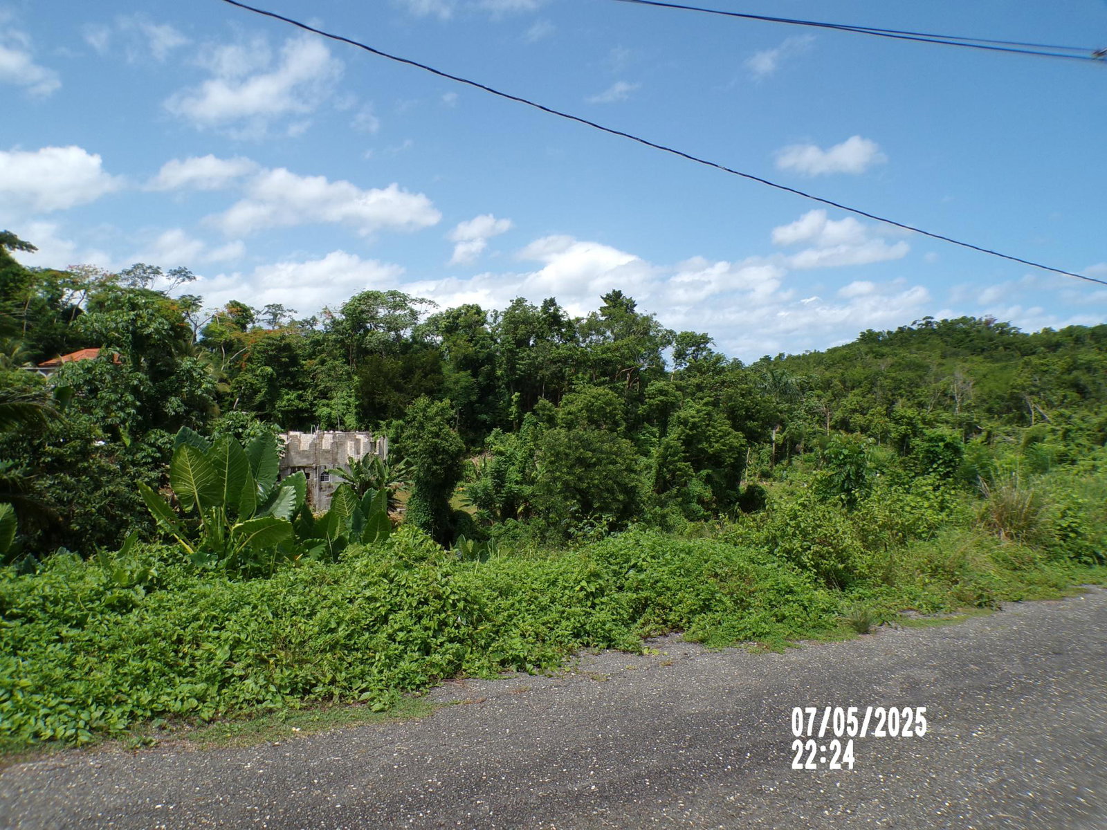 Fourth image of Lot-82 Zoysia Drive in Green Island, Hanover, Jamaica - property is For Sale