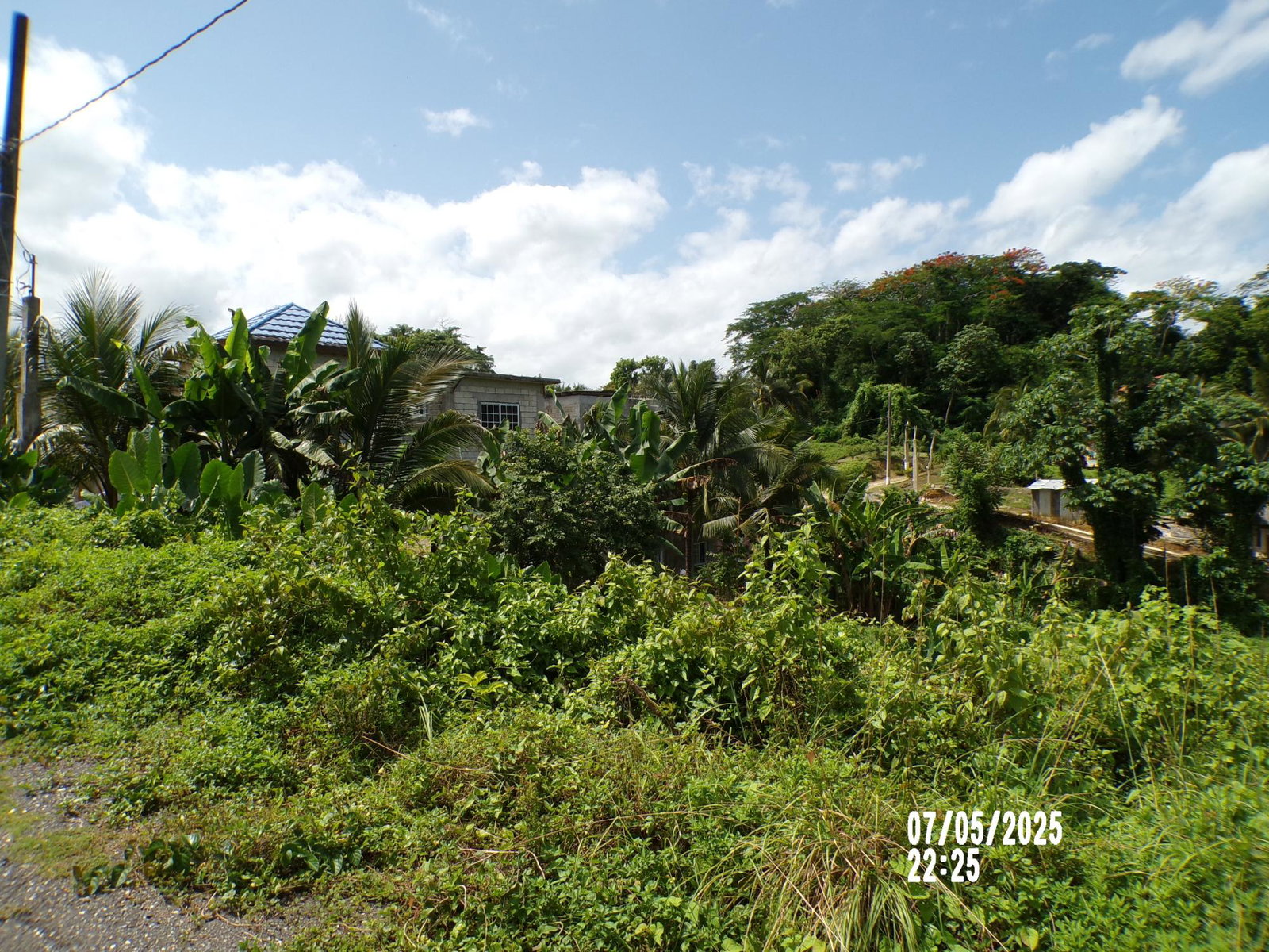 Sixth image of Lot-82 Zoysia Drive in Green Island, Hanover, Jamaica - property is For Sale