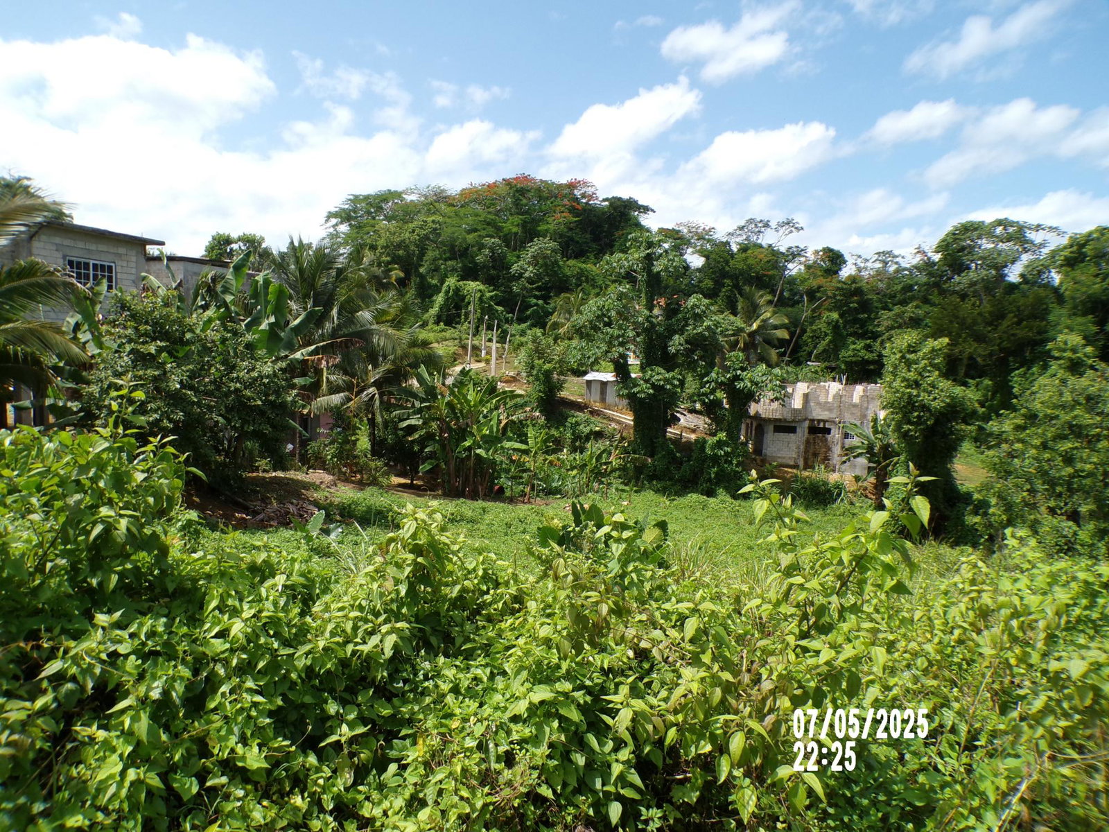 Seventh image of Lot-82 Zoysia Drive in Green Island, Hanover, Jamaica - property is For Sale
