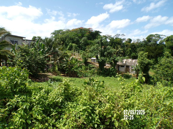 Seventh image of Lot-82 Zoysia Drive in Green Island, Hanover, Jamaica - property is For Sale