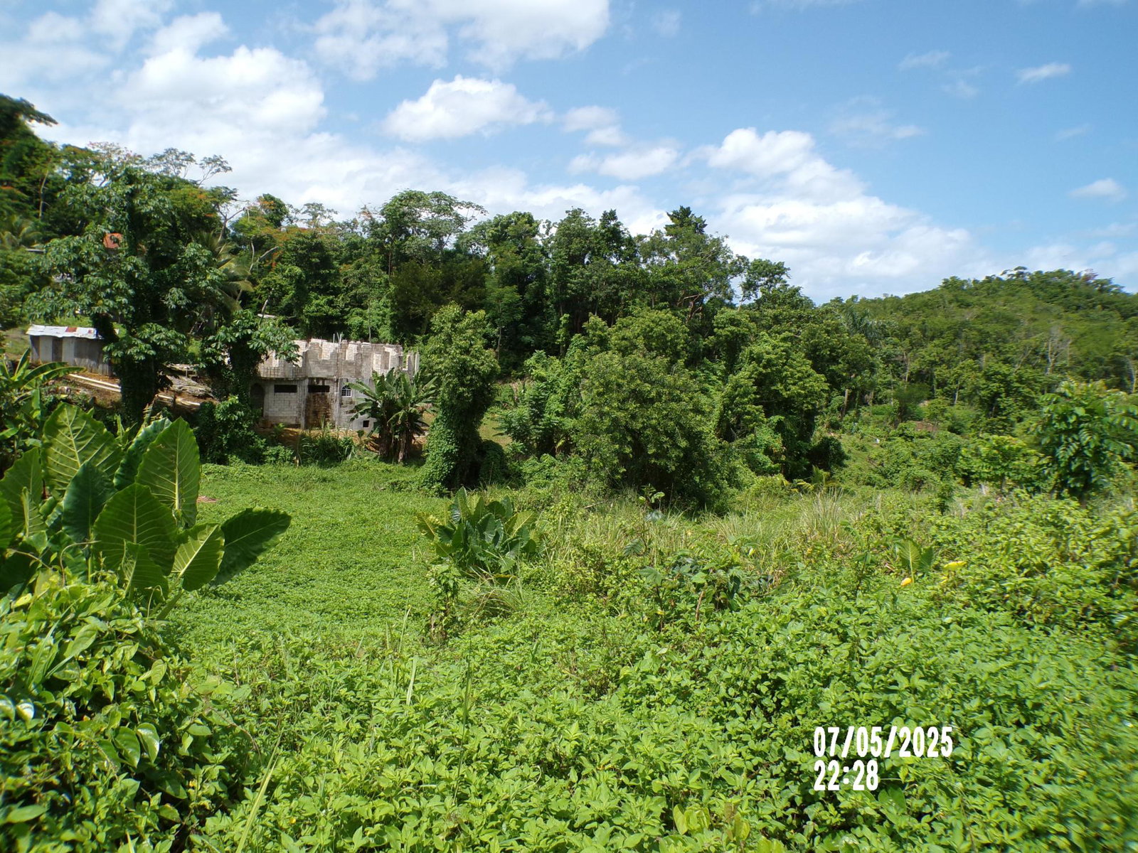 Ninth image of Lot-82 Zoysia Drive in Green Island, Hanover, Jamaica - property is For Sale