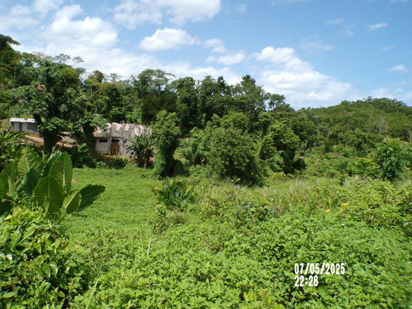 Ninth image of Lot-82 Zoysia Drive in Green Island, Hanover, Jamaica - property is For Sale