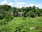 First image of Lot-82 Zoysia Drive in Green Island, Hanover, Jamaica - property is For Sale