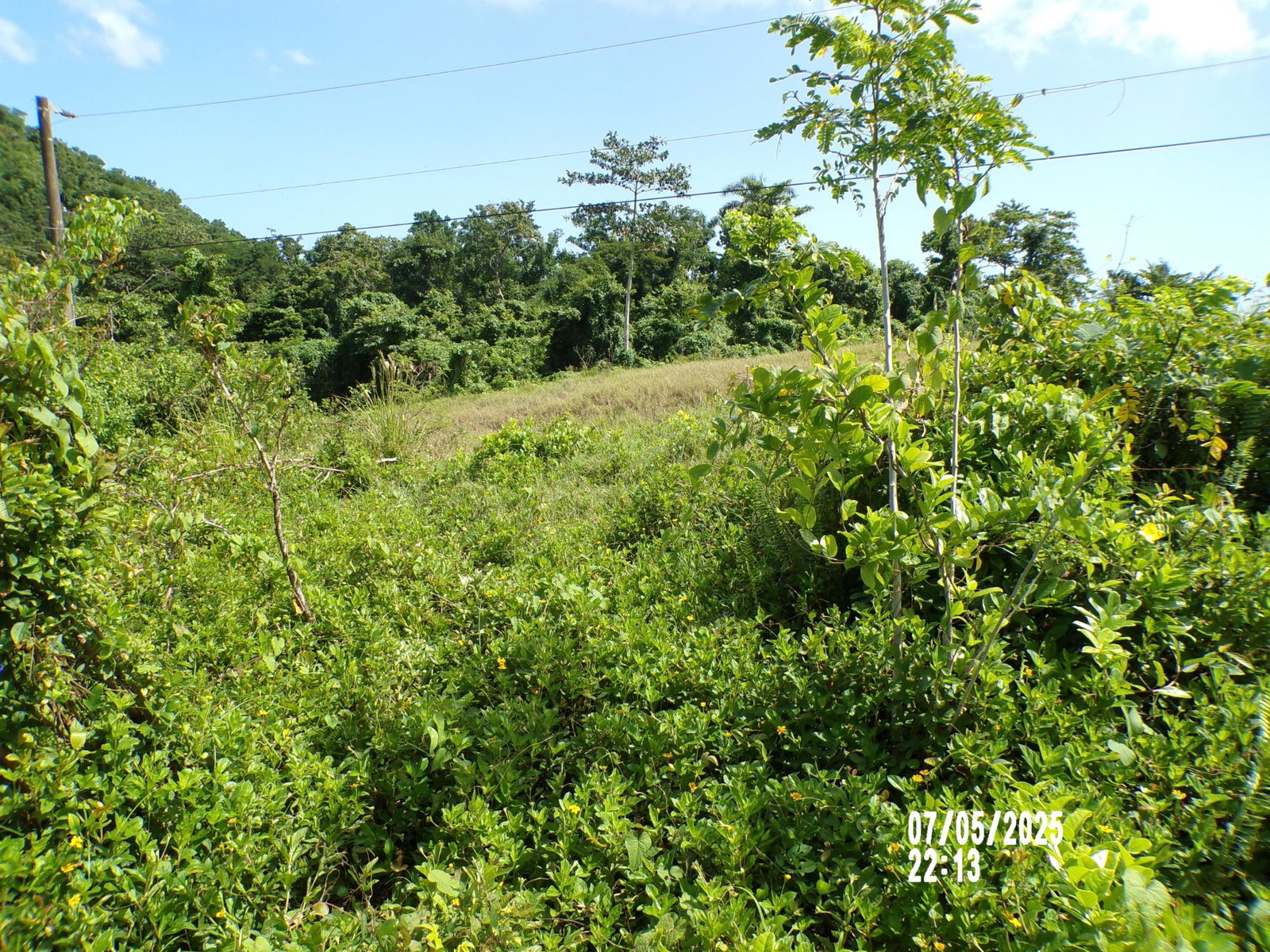 Eighth image of Lot-95 Pongala Drive in Green Island, Hanover, Jamaica - property is For Sale