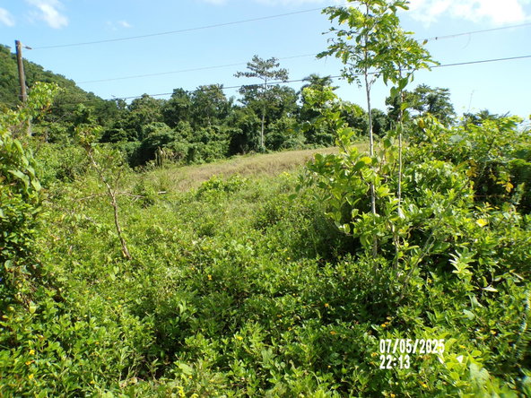 Eighth image of Lot-95 Pongala Drive in Green Island, Hanover, Jamaica - property is For Sale