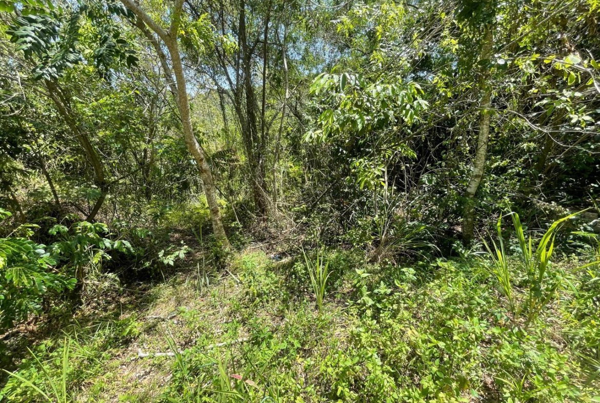 Second image of 21 Red Hills in Red Hills, St. Andrew, Jamaica - property is For Sale
