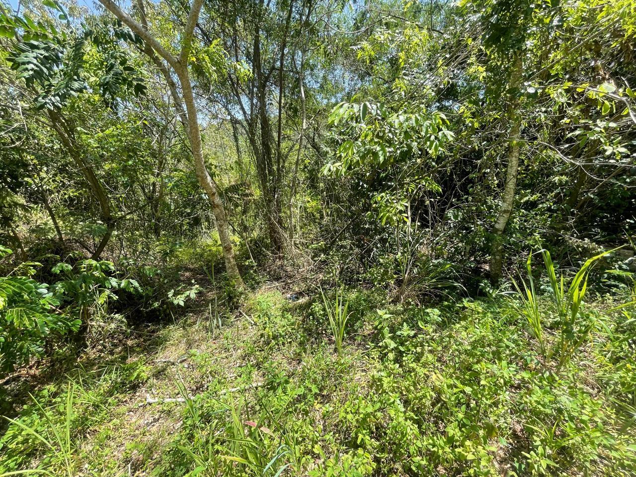 Second image of 21 Red Hills in Red Hills, St. Andrew, Jamaica - property is For Sale