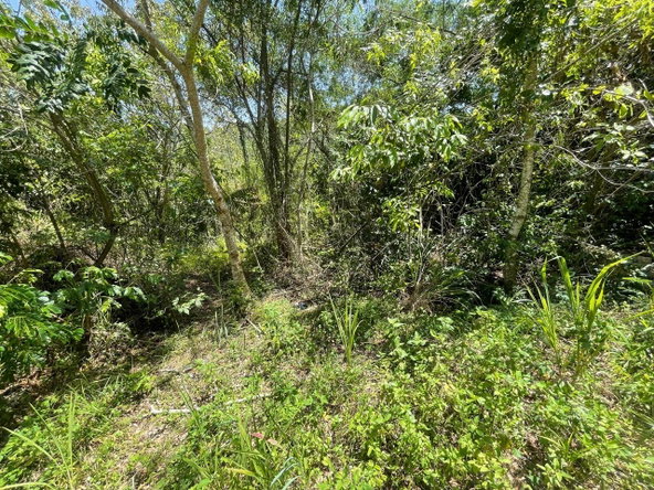 Second image of 21 Red Hills in Red Hills, St. Andrew, Jamaica - property is For Sale