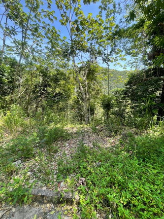Fourth image of 20 Red Hills in Red Hills, St. Andrew, Jamaica - property is For Sale