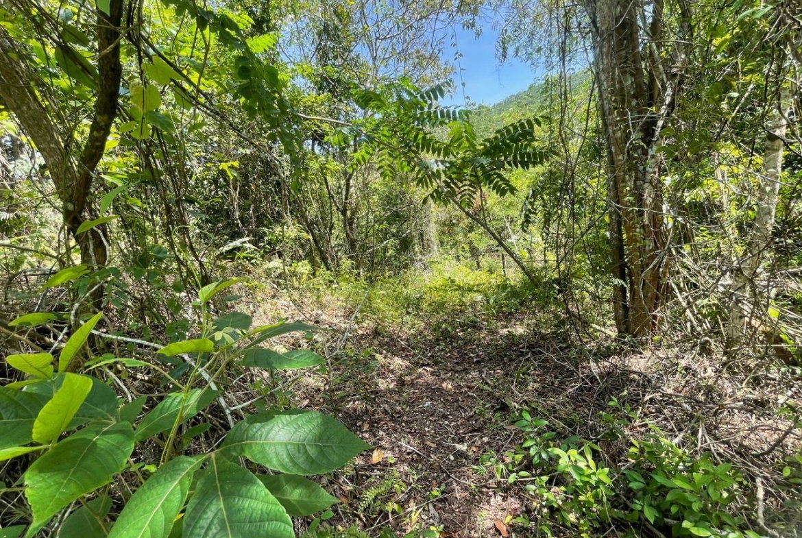 First image of 21 Red Hills in Red Hills, St. Andrew, Jamaica - property is For Sale