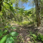 First image of 21 Red Hills in Red Hills, St. Andrew, Jamaica - property is For Sale