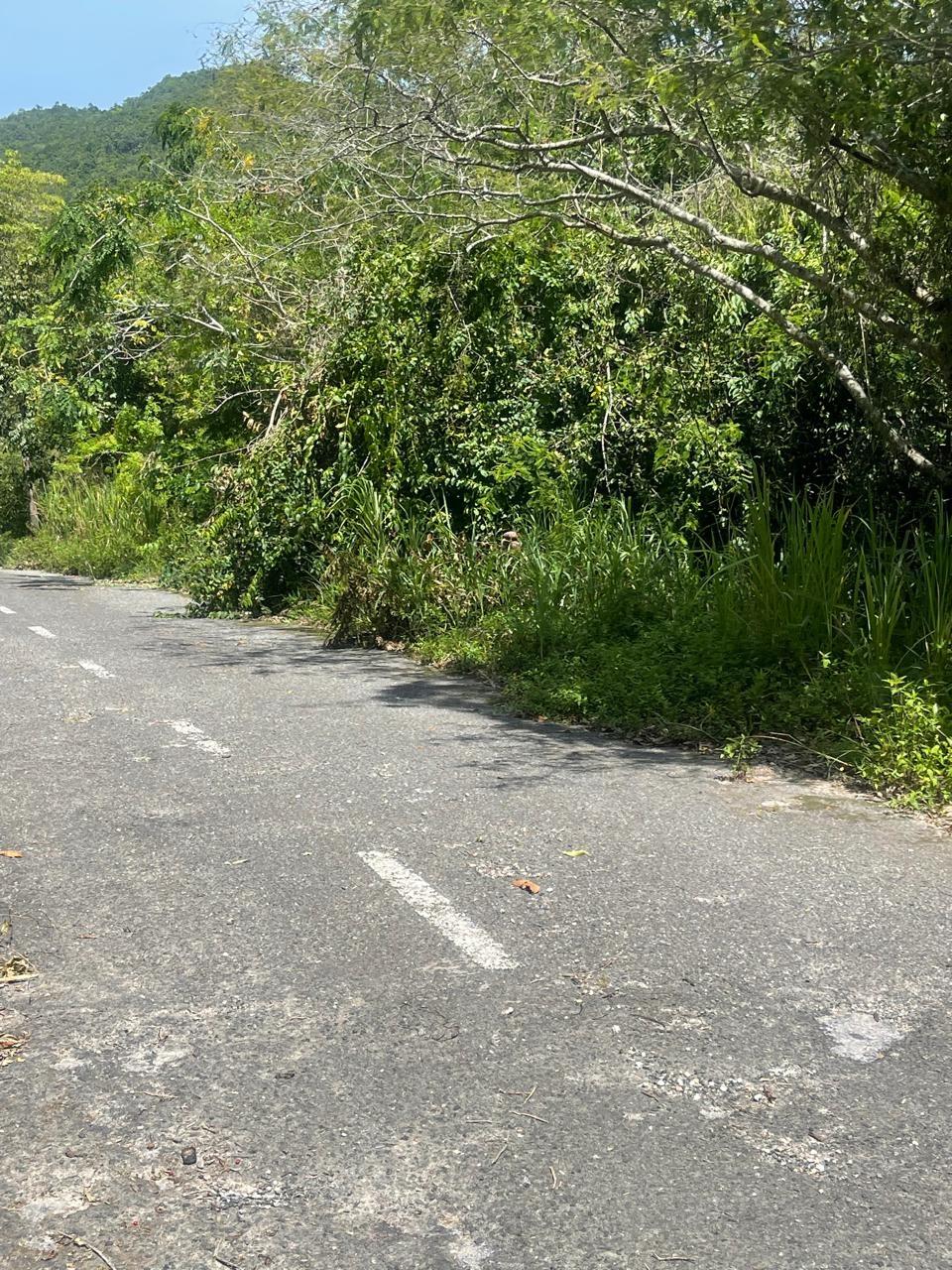 Sixth image of 21 Red Hills in Red Hills, St. Andrew, Jamaica - property is For Sale