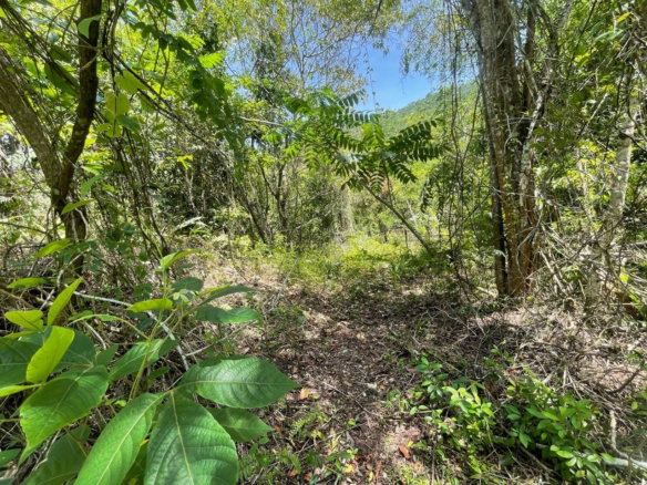 First image of 21 Red Hills in Red Hills, St. Andrew, Jamaica - property is For Sale