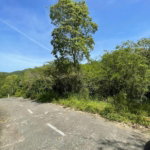 First image of 20 Red Hills in Red Hills, St. Andrew, Jamaica - property is For Sale